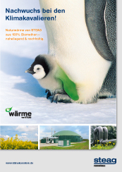 Titel_BRO_STEAG-Naturwaerme